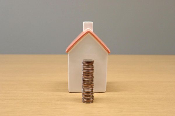 Designing the ultimate recovery retreat: your comprehensive guide to crafting a cozy healing environment for your pet after surgery